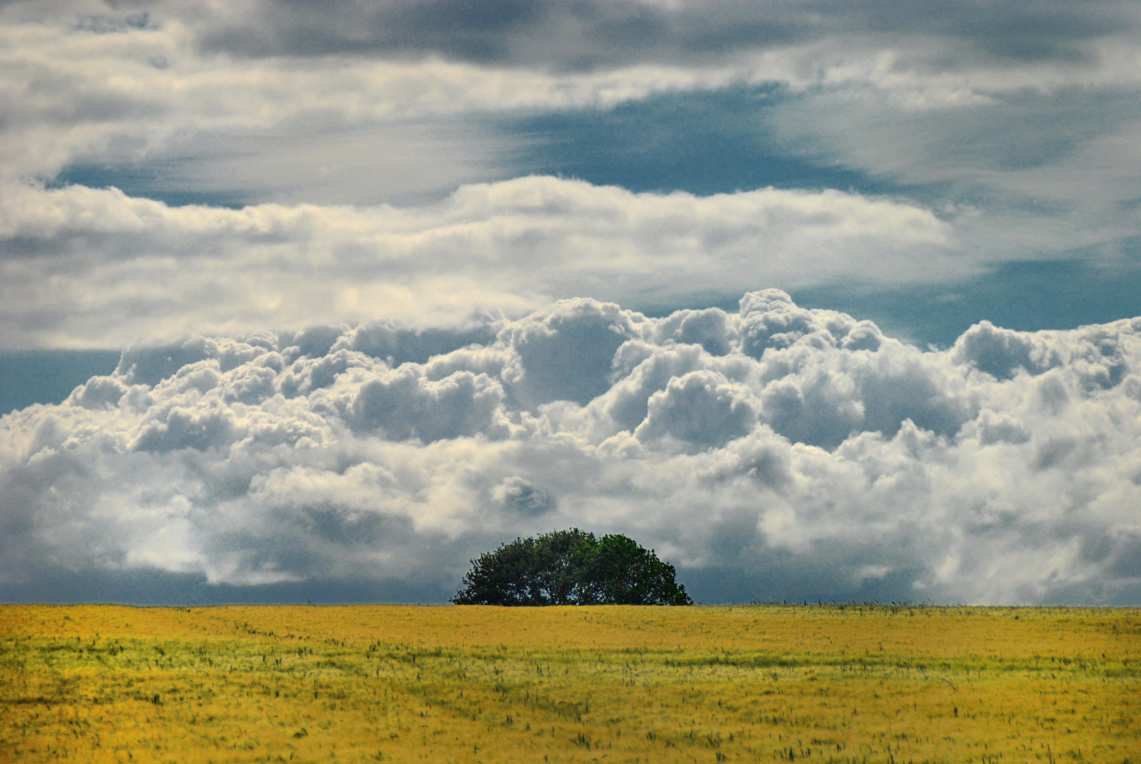 Sommerwolken