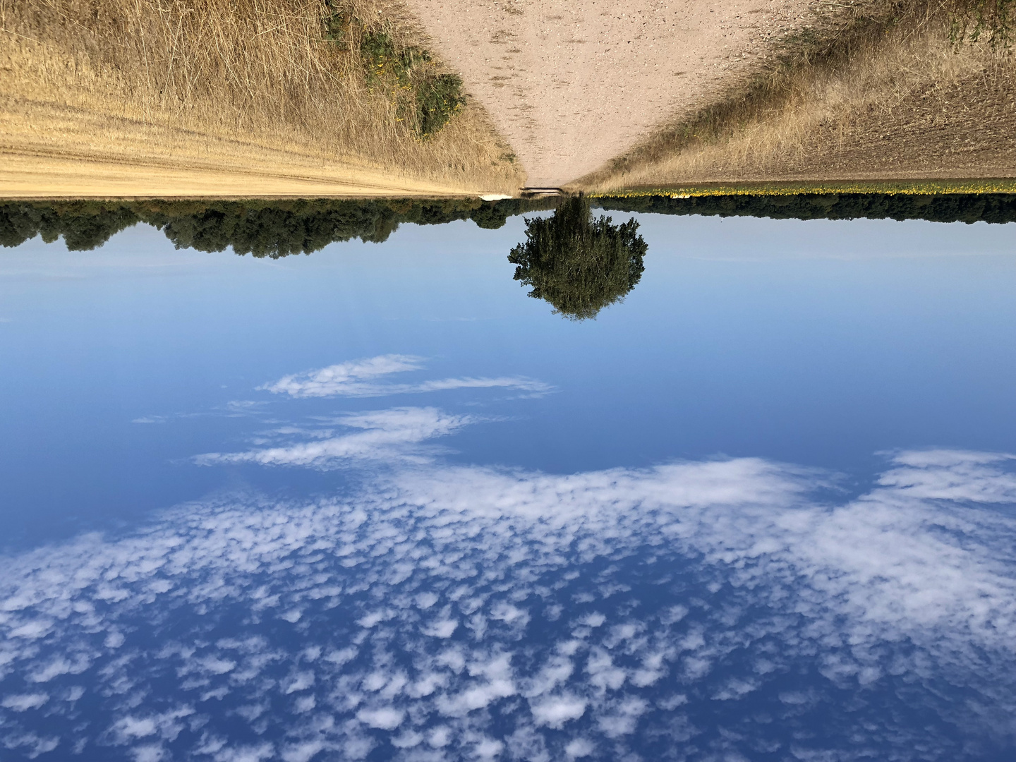 Sommerwolken