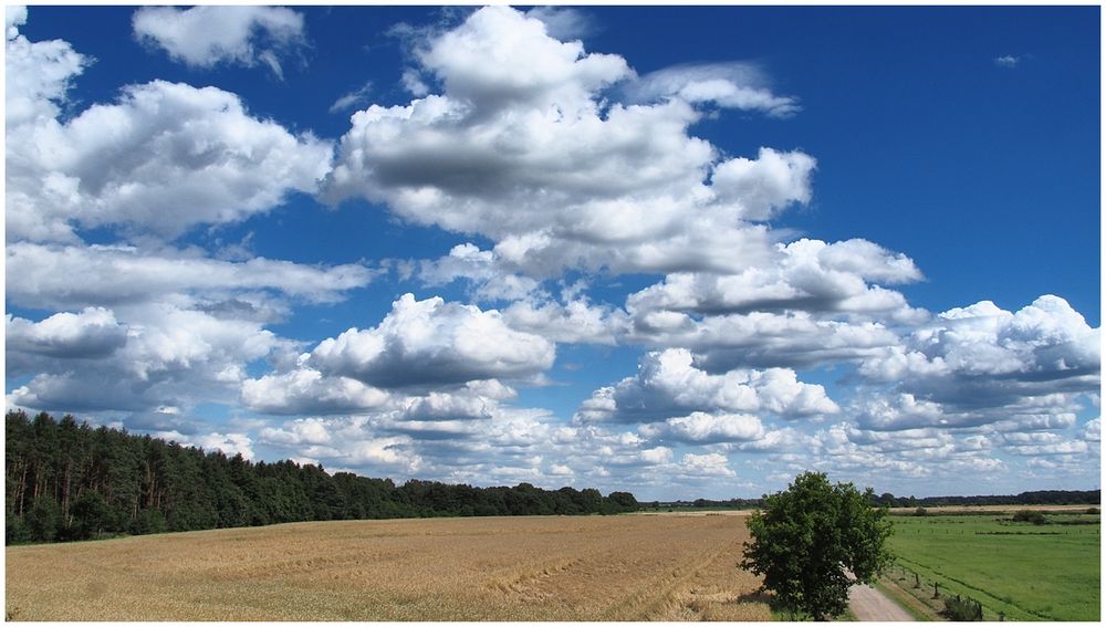 Sommerwolken II