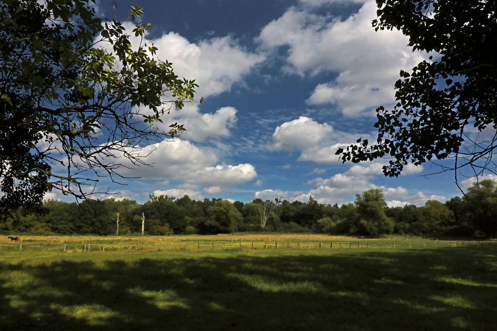 Sommerwolken über Pferdeweiden