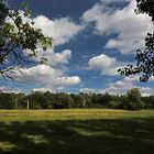 Sommerwolken über Pferdeweiden