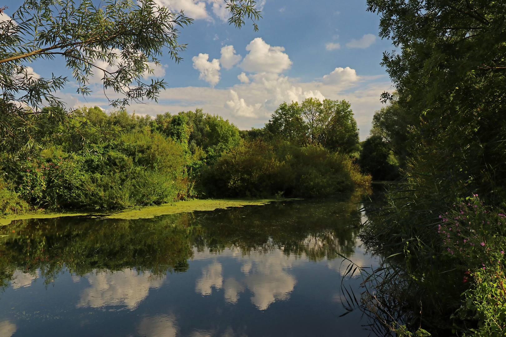 Sommerwolken überm Fluss