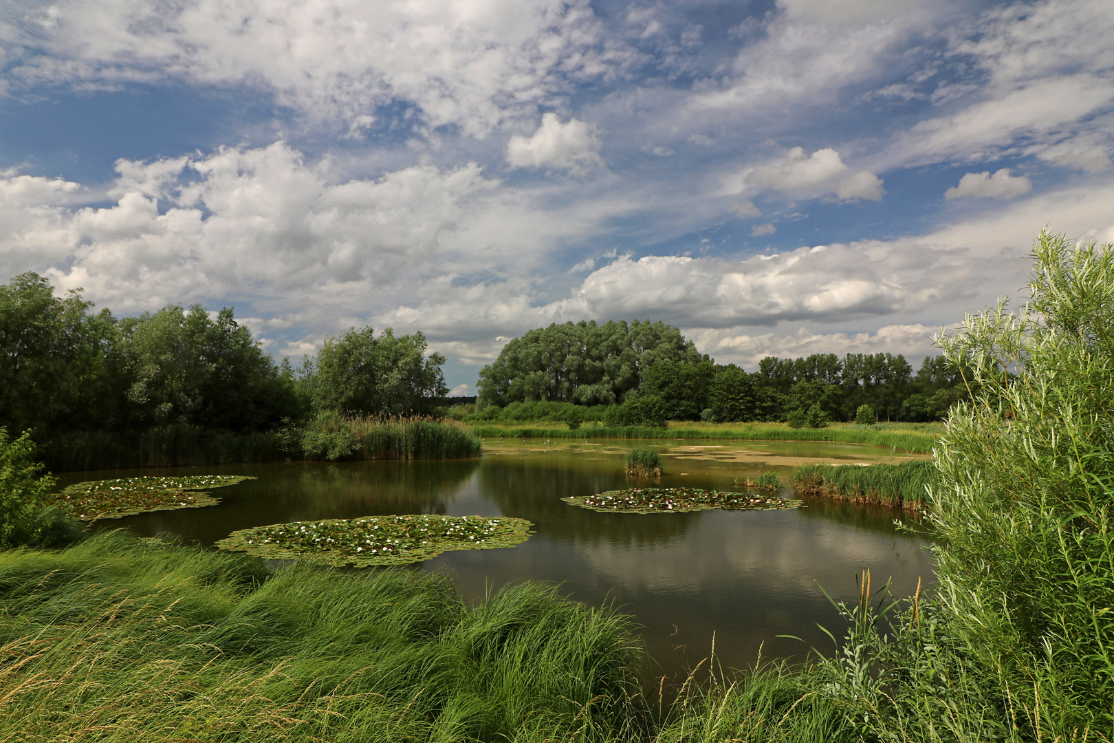 Sommerwolken überm Regenbecken