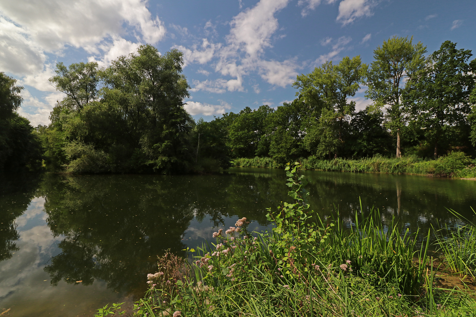 Sommerwolken überm Teich