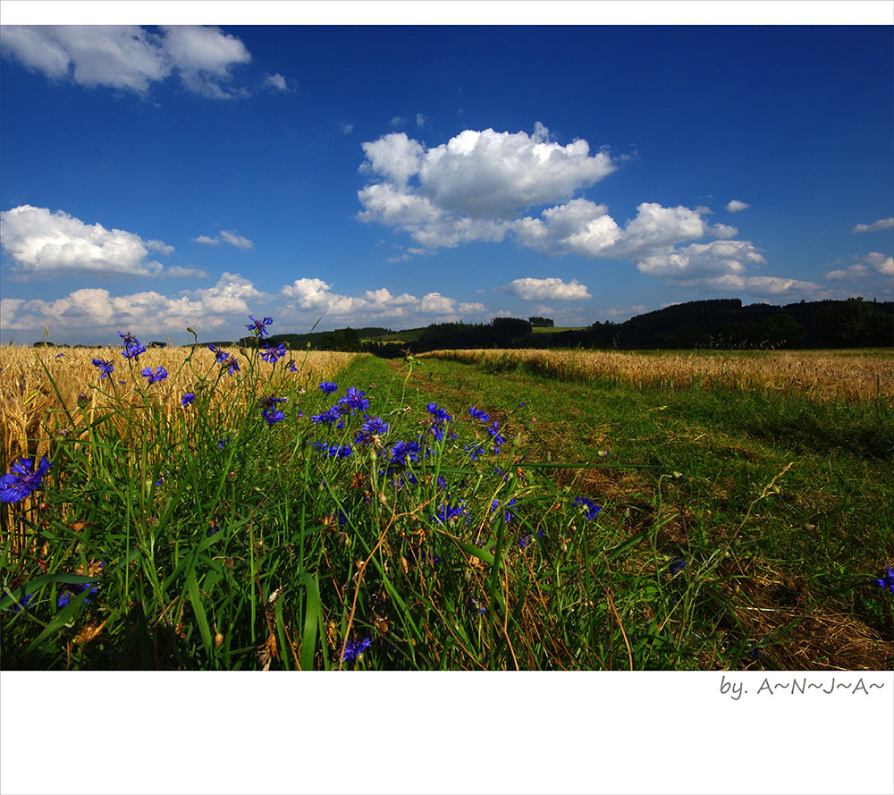 * Sommerzauber...*