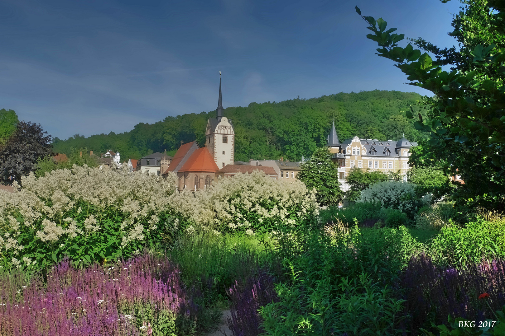 Sommerzauber im Hofwiesenpark Gera