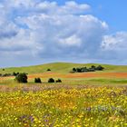 Sommerzeit