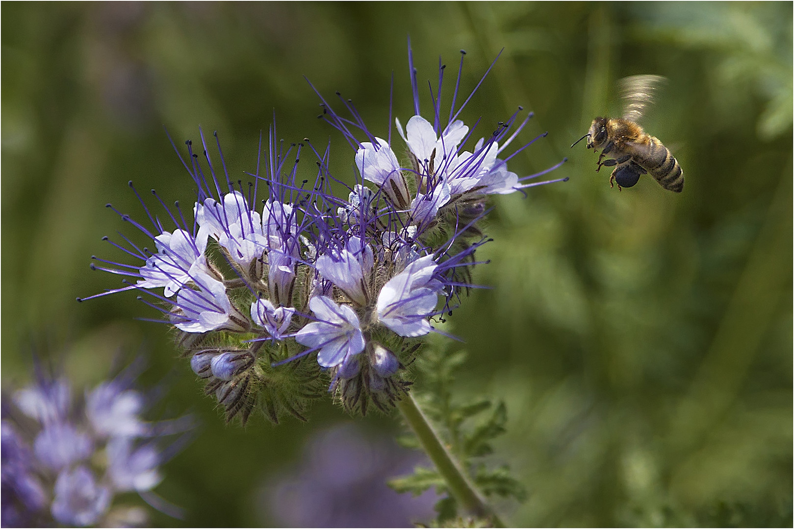 ... Sommerzeit 2 ...