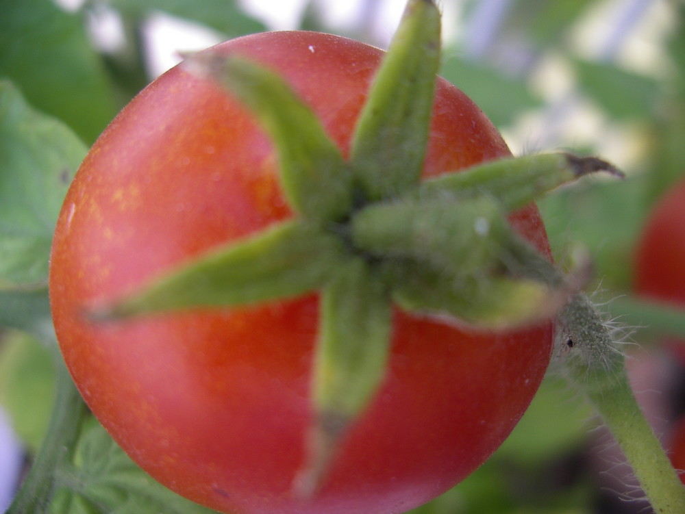 sommerzeit