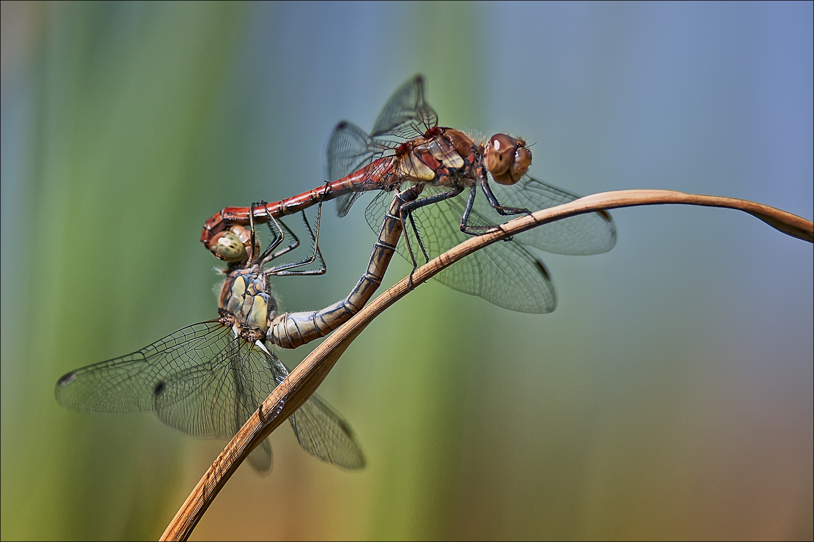 Sommerzeit