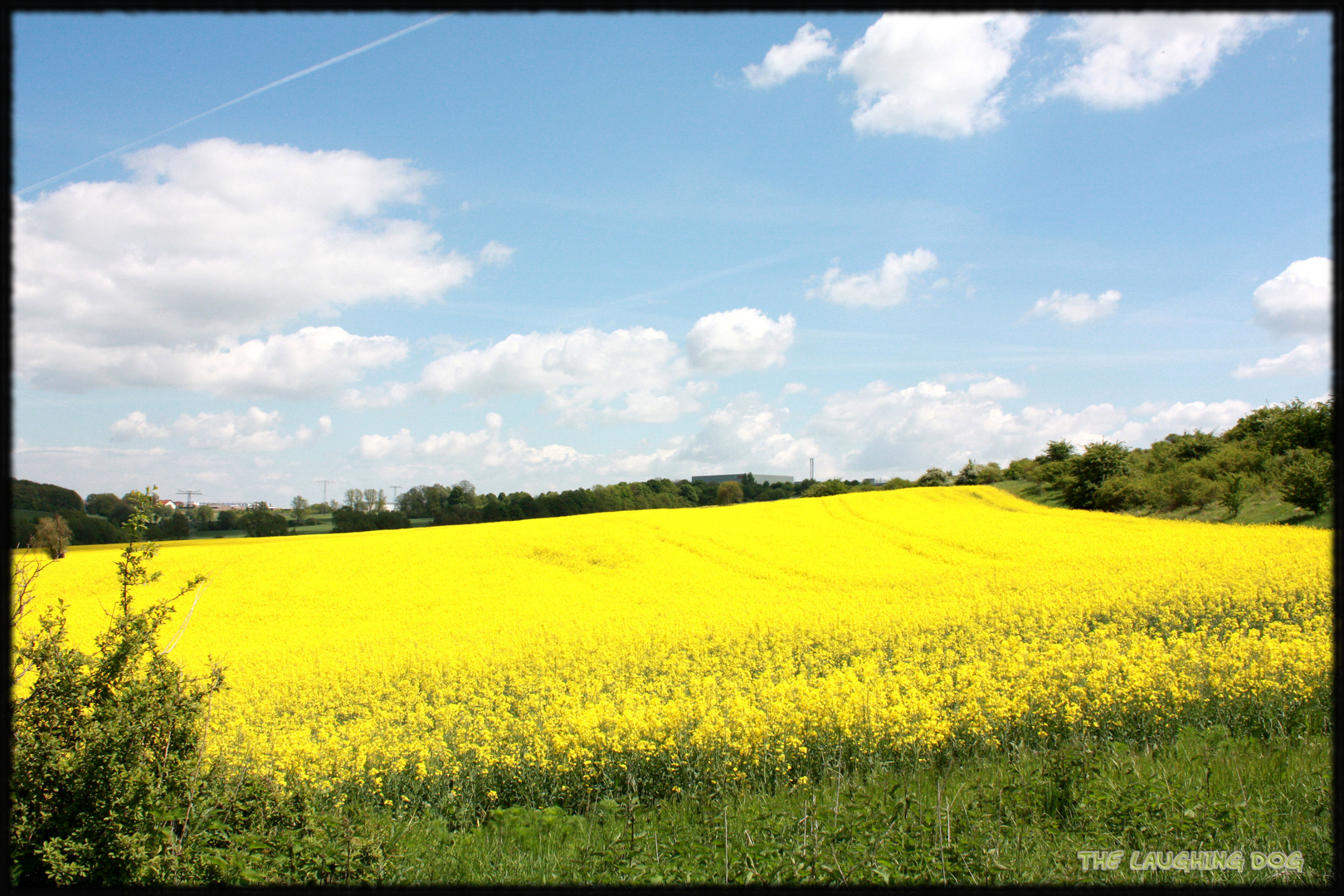 Sommerzeit...