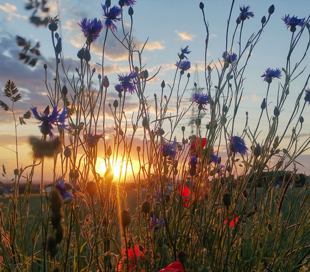 Sommerzeit 