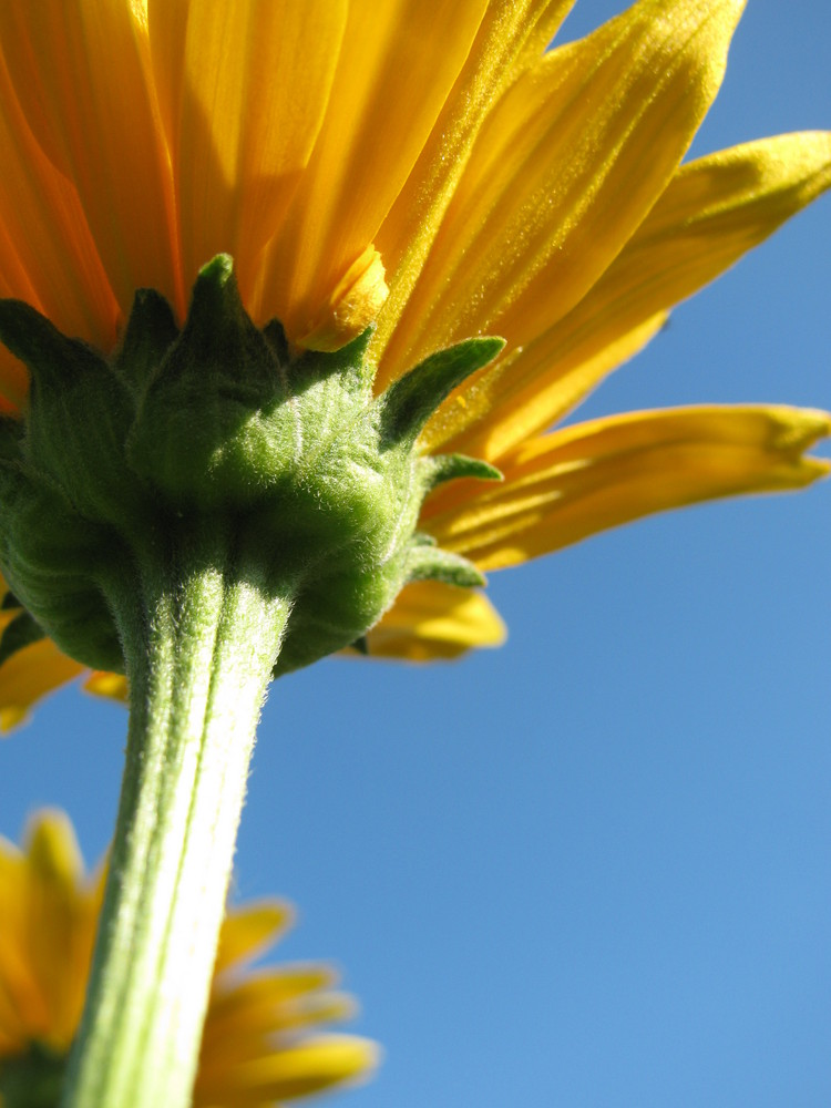 Sommerzeit