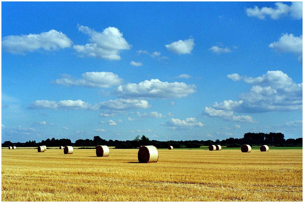 "Sommerzeit.."