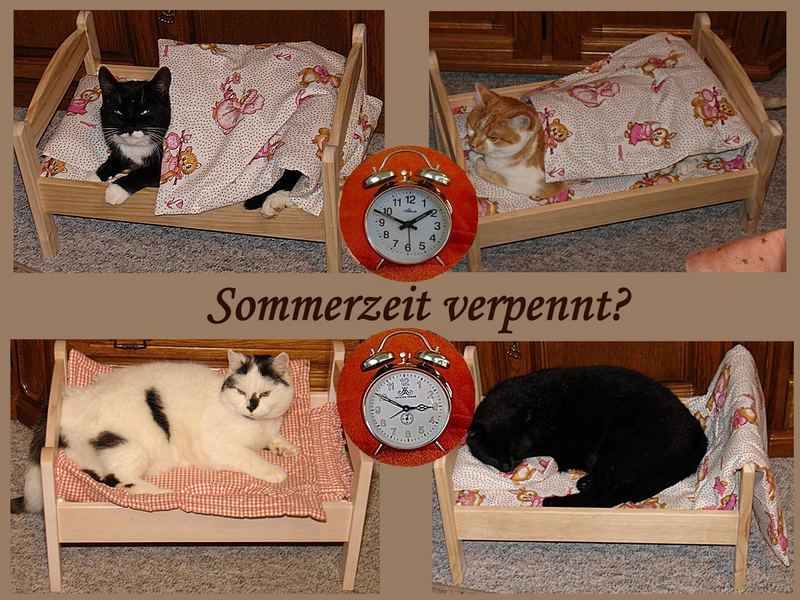 >>> Sommerzeit 