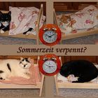 >>> Sommerzeit <<<