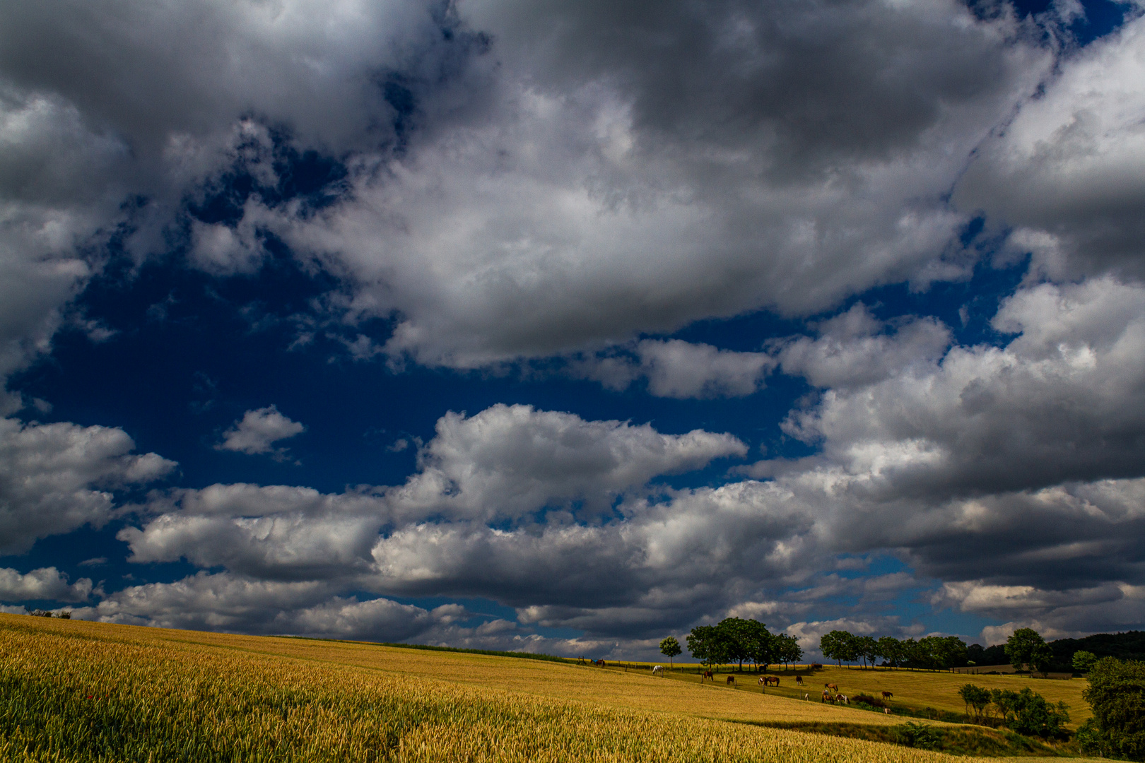 Sommerzeit