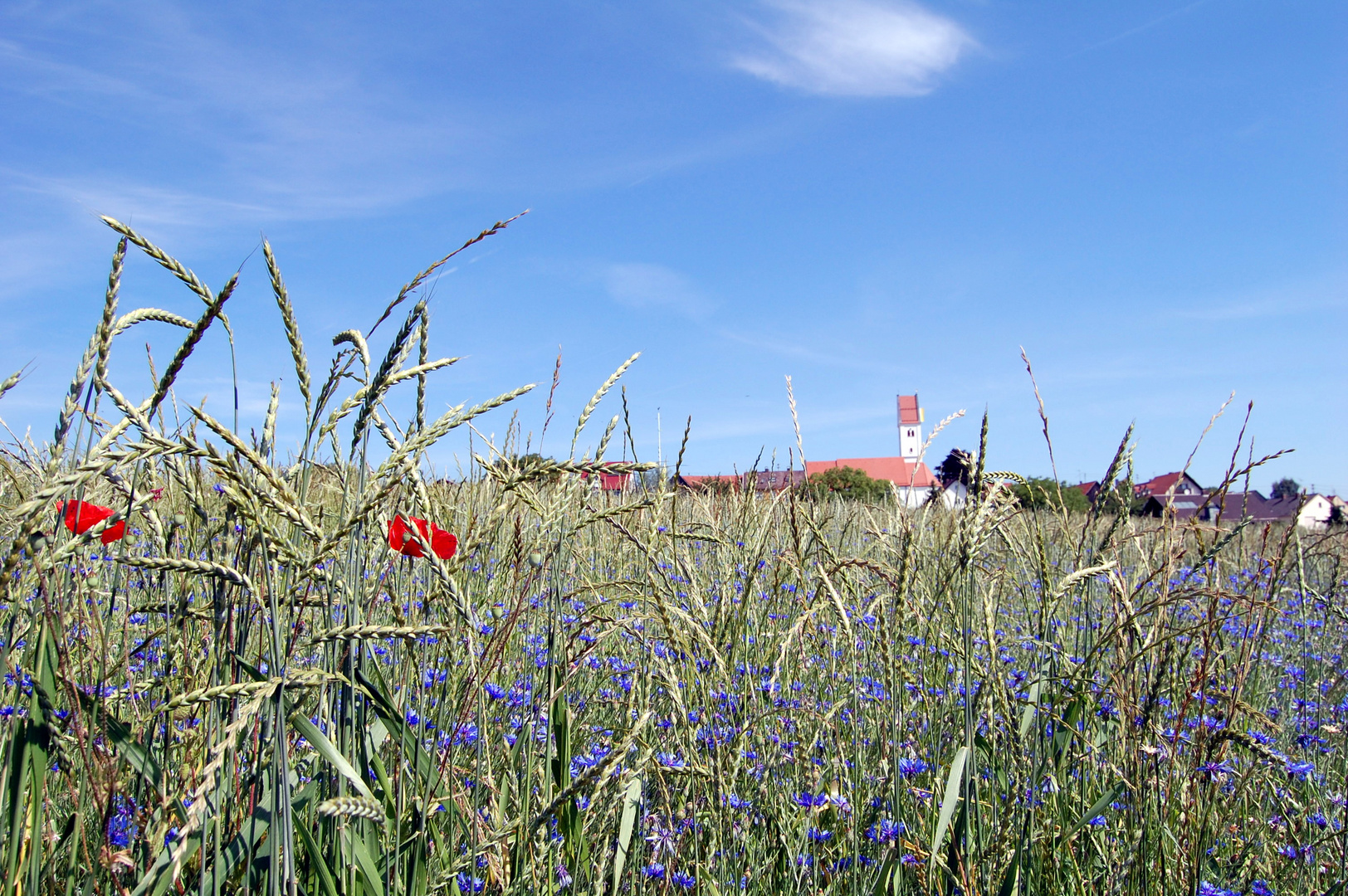 Sommerzeit