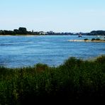 Sommerzeit am Rhein