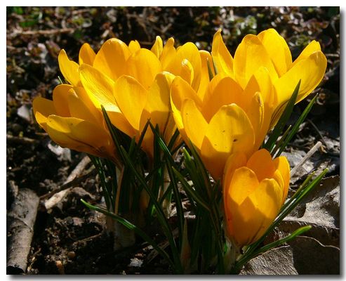 Sommerzeit-Anfang ;-)