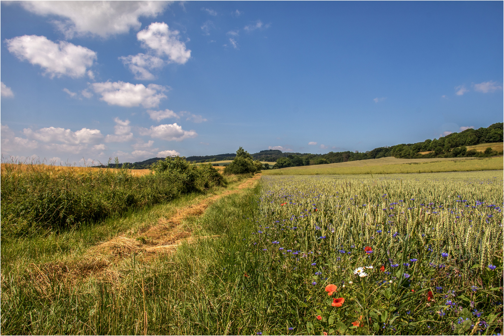 SommerZeit