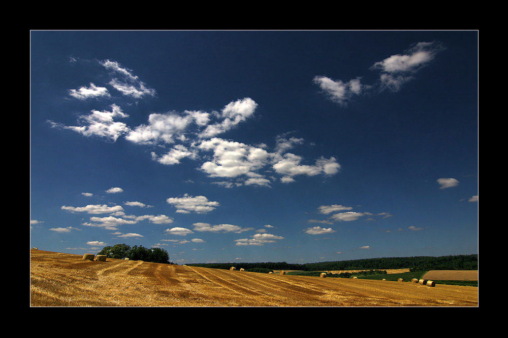 Sommerzeit - Ballenzeit