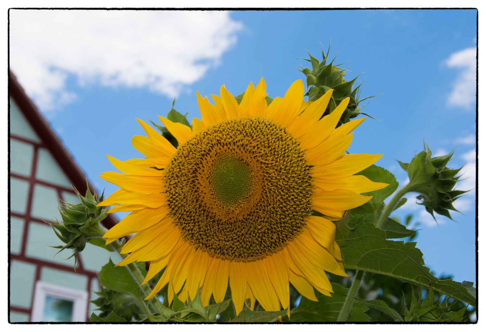 Sommerzeit