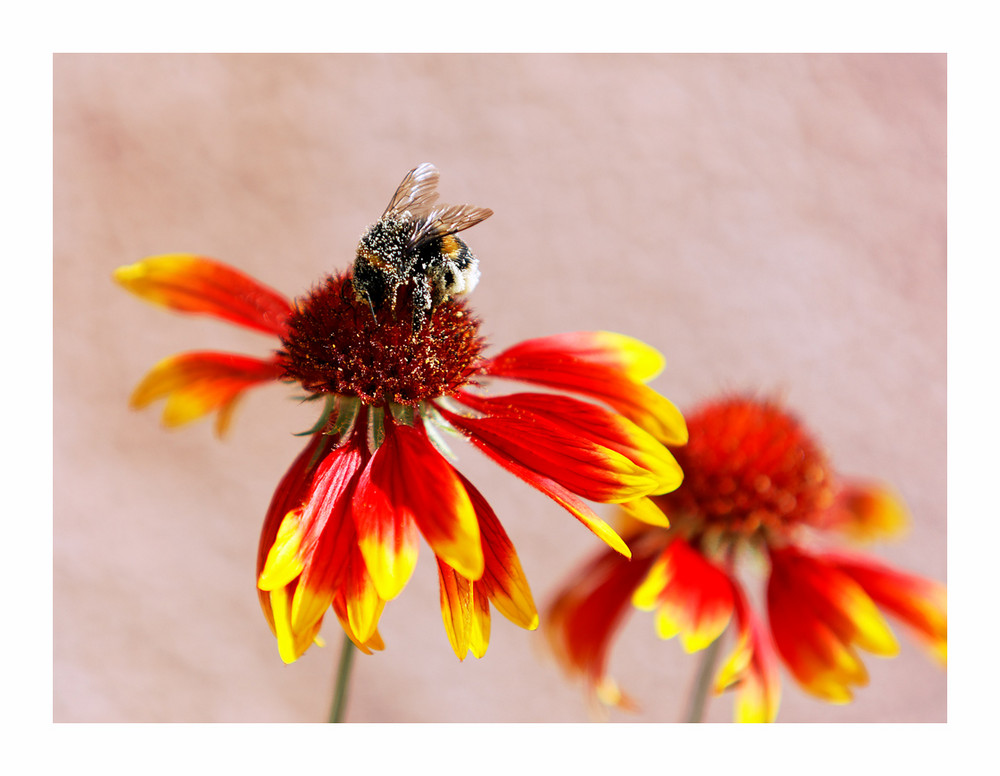 Sommerzeit