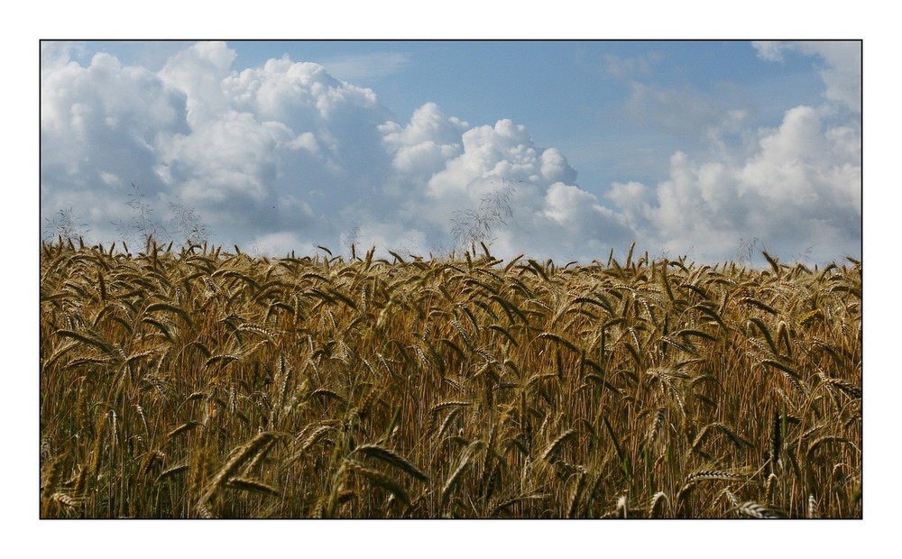 Sommerzeit