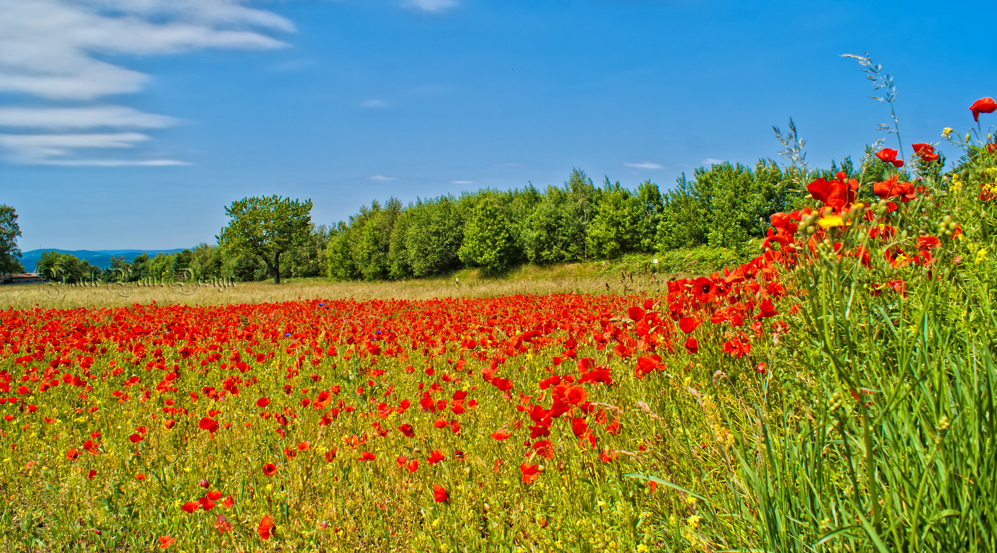 Sommerzeit