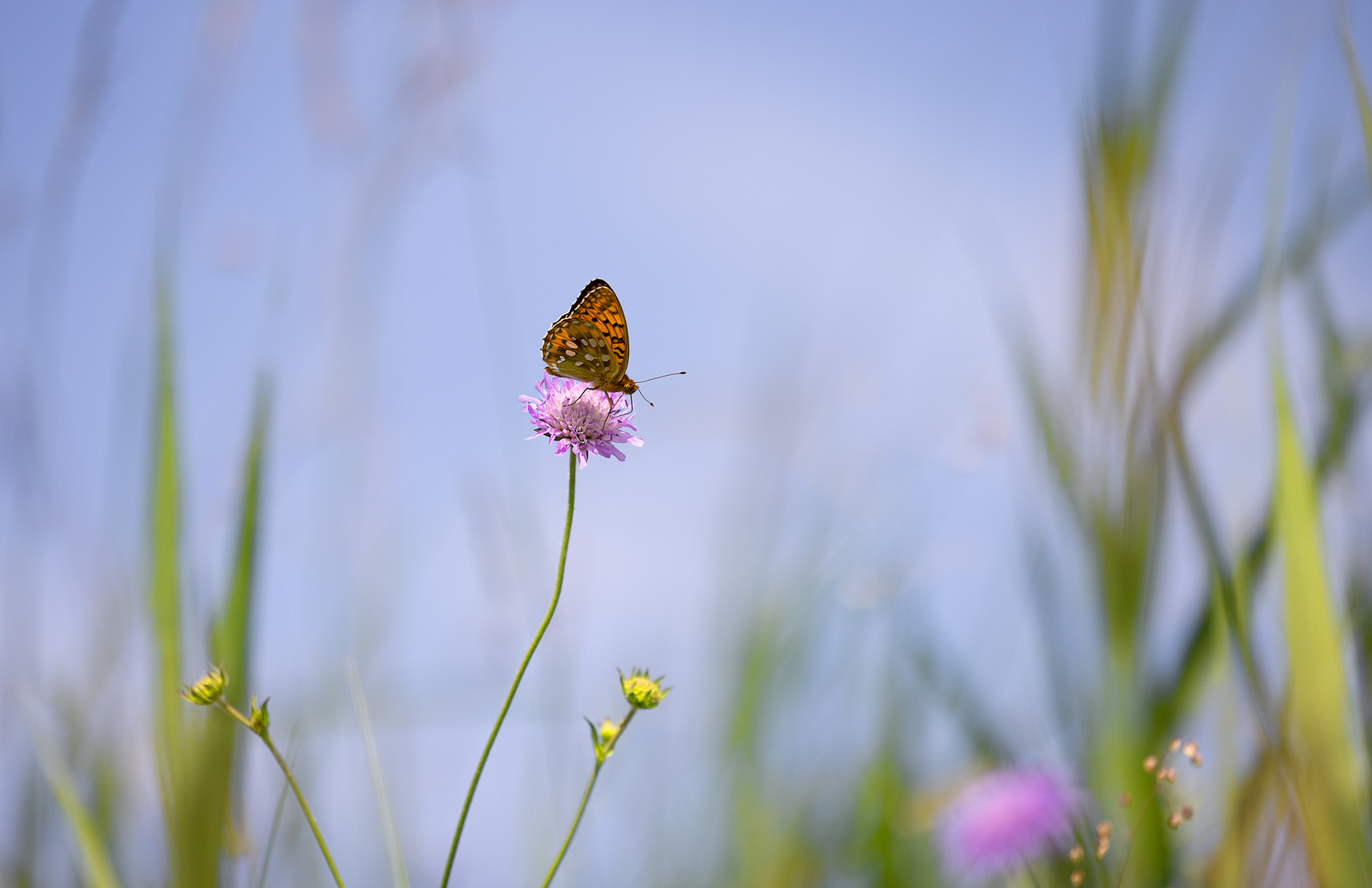 Sommerzeit