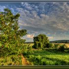 Sommerzeit Erntezeit