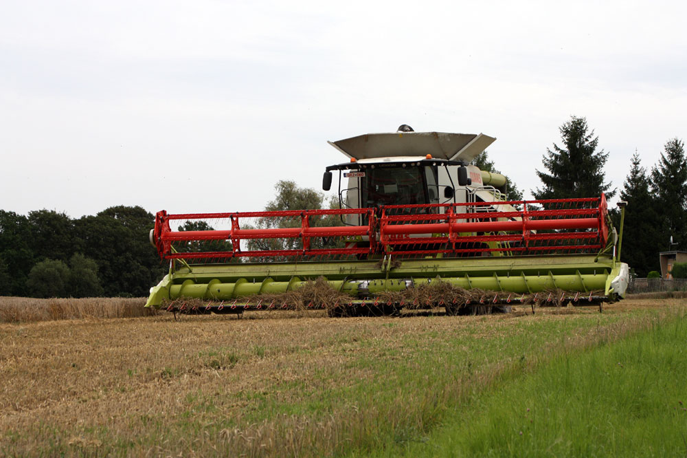 Sommerzeit -Erntezeit