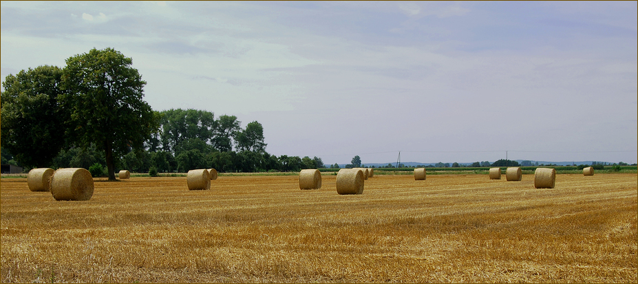 " Sommerzeit "