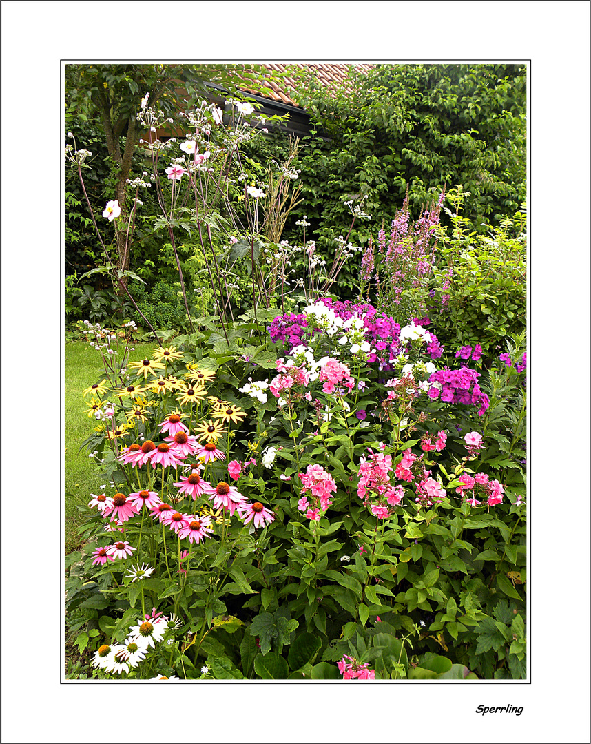 Sommerzeit im Garten