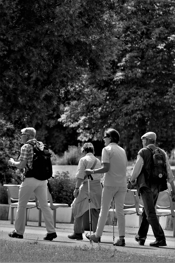 Sommerzeit im Park