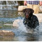 Sommerzeit ist Badezeit