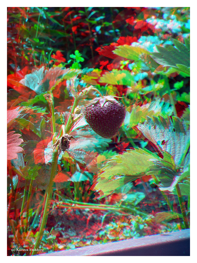 ,,Sommerzeit ist Erdbeerzeit!'' in 3D (Rot/Cyan)