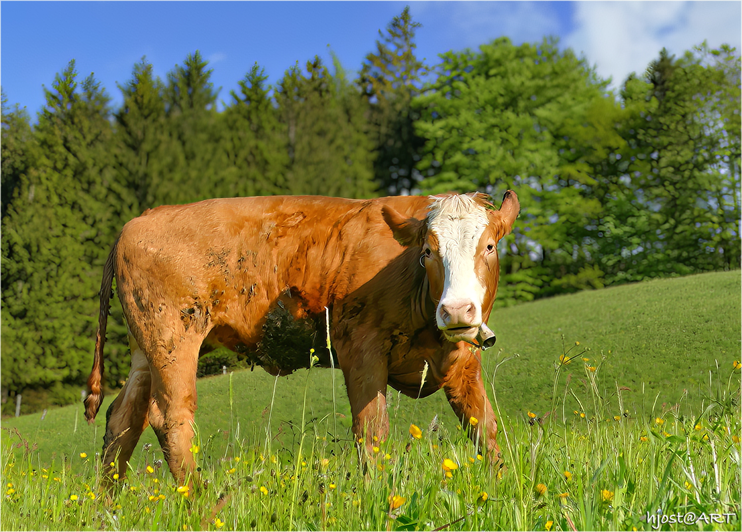 "Sommerzeit" - Rückblick ...