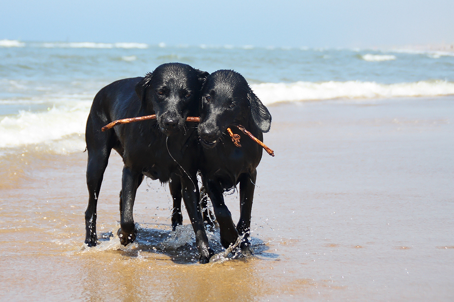 Sommerzeit Strandzeit