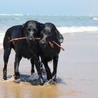 Sommerzeit Strandzeit