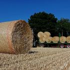 Sommerzeit - Strohrollenzeit ...