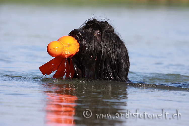 Sommerzeit - Wasserzeit