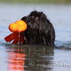 Sommerzeit - Wasserzeit