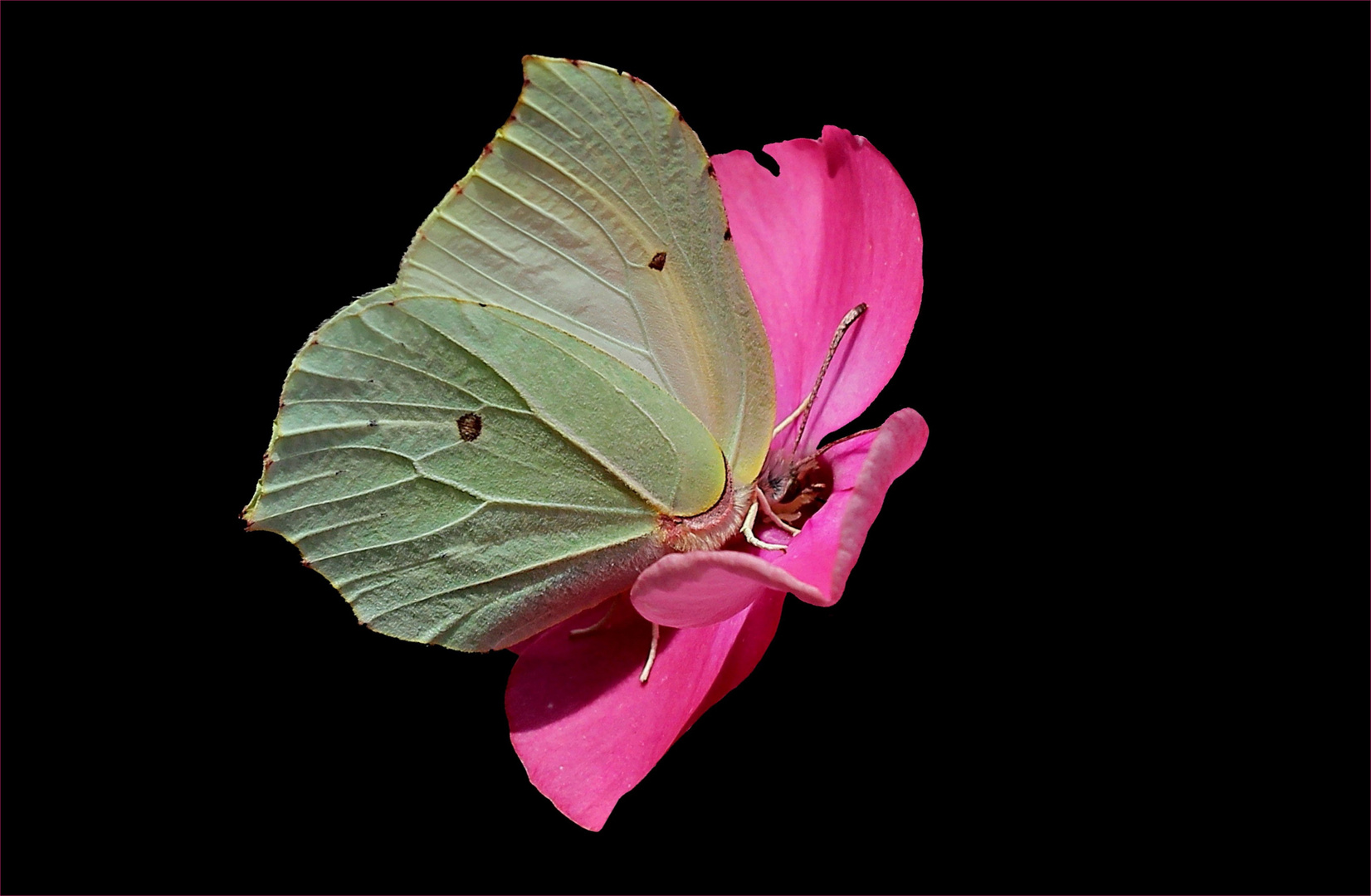 ...so'n bisschen Sommer...