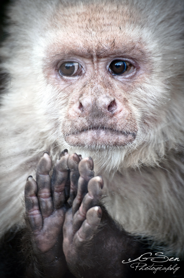 Son regard en disait long sur sa condition...