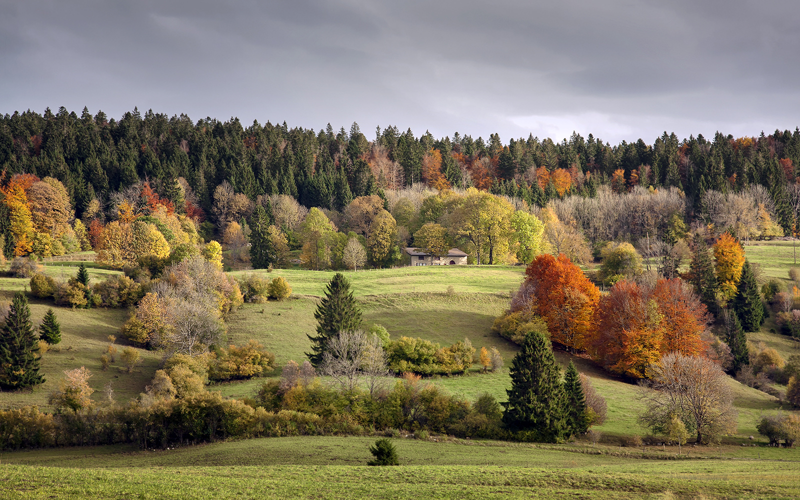 Sonate d'automne.......