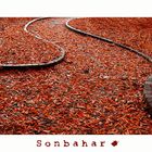 Sonbahar