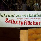 Sonderangebot...