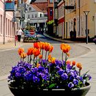 Sonderburg Dänische Hafenstadt am Alsensund